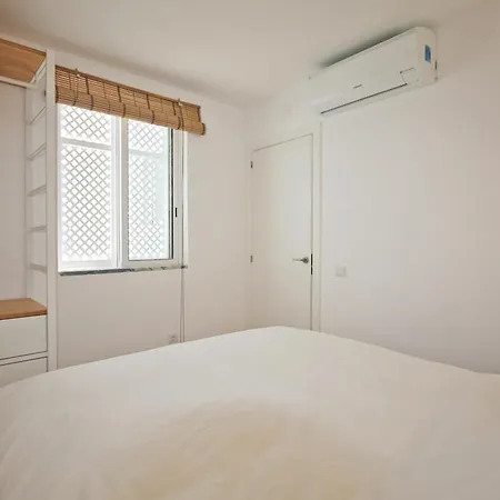 Duplex Castor Poeta Tavira